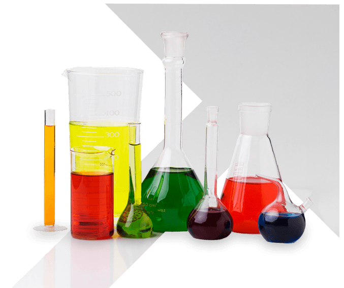 LF Logistics Case Study