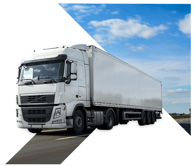 LF Logistics Case Study